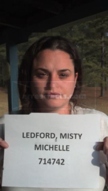 Misty Michelle Ledford