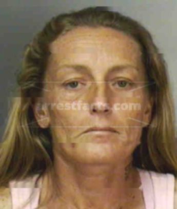 Tammy Lincoln Baumgardner