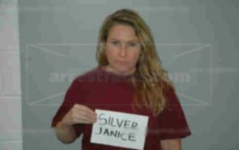 Janice Renee Silver