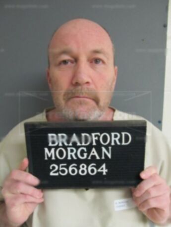 Bradford L Morgan