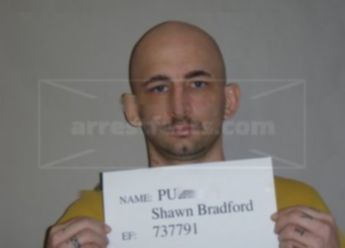 Shawn Bradford Pulley