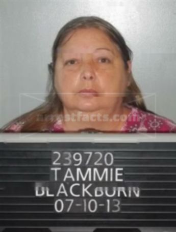Tammie J Blackburn