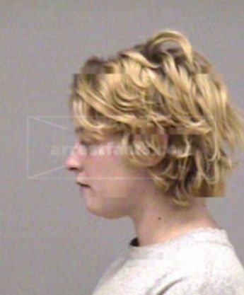 Stacey L Cook