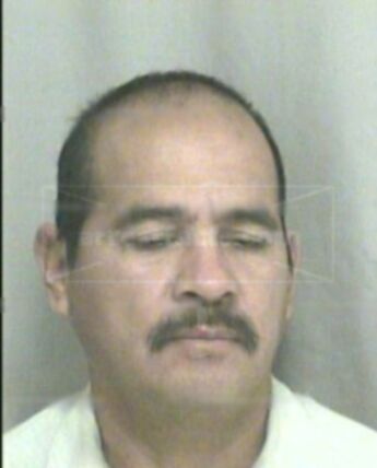 Julio H Vera