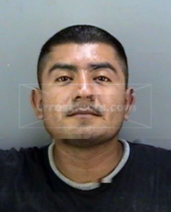 Fernando Vasquez Cortez