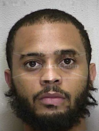 Jeremy L Collins