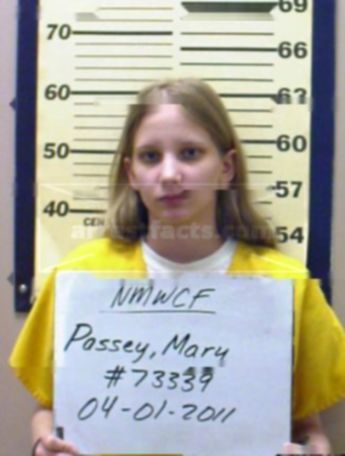 Mary J Passey