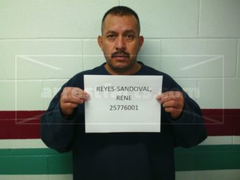 Rene Reyes-Sandoval